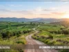 Preghiera del giorno di Venerdì 18 Settembre 2026 dal titolo: “In cammino con le donne della speranza” In cammino con le donne della speranza